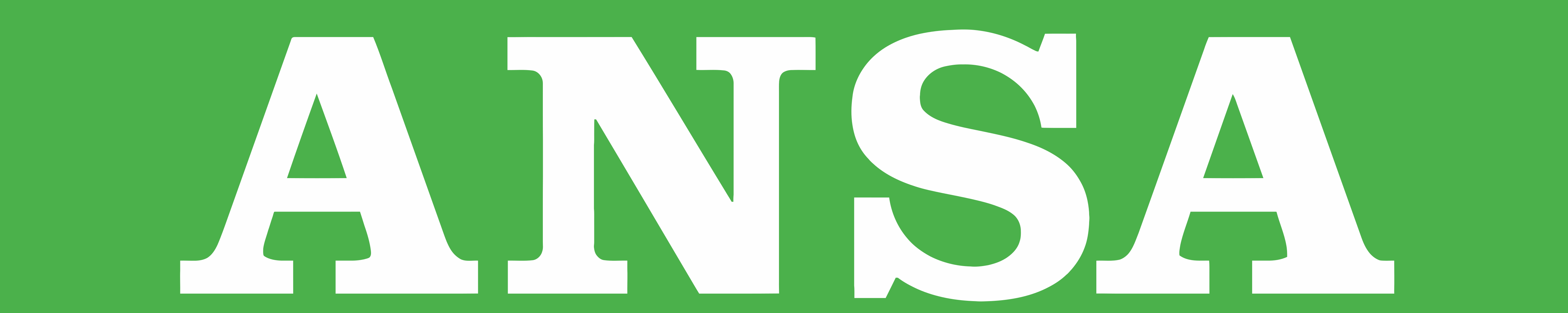 ansa