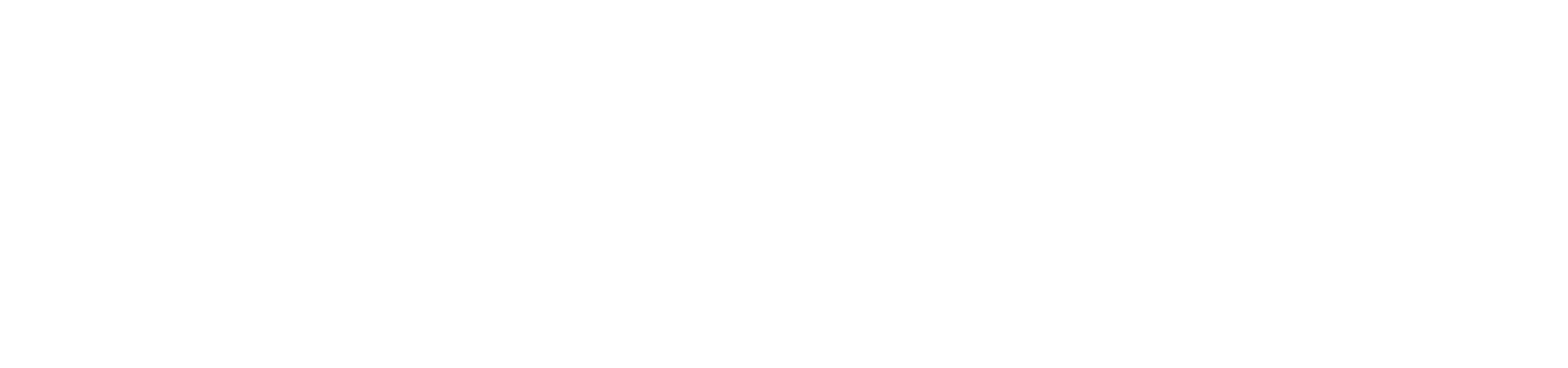 Ars Electronica