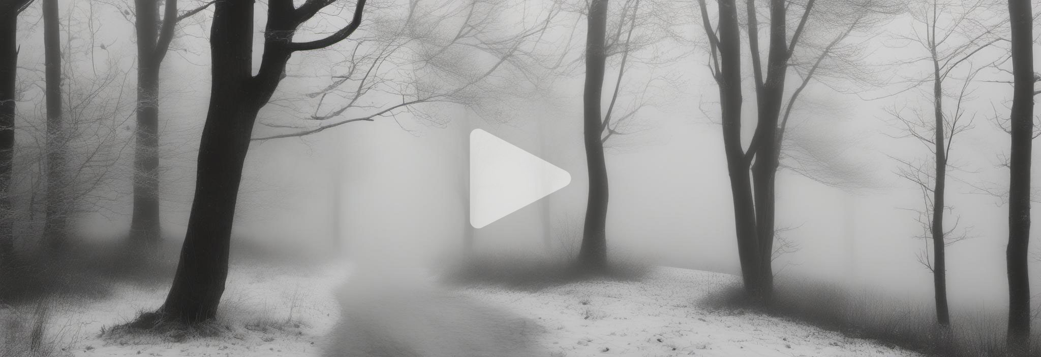 Click to view the video! The pale moon hung in a corner of the heavens